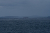 IMG_6780.jpg